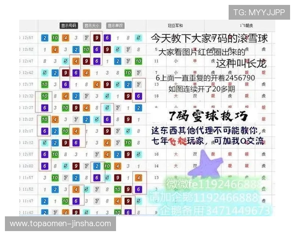 全面介绍金鹰全天飞艇计划的最新版本更新内容与未来发展趋势满足玩家多样需求