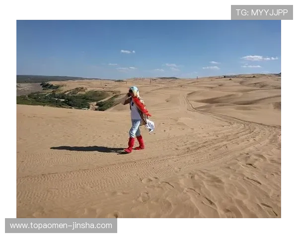 大阳城登陆流程详解及常见问题解决方案让你轻松开启游戏之旅